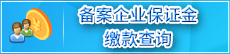 个人保证金缴款查询